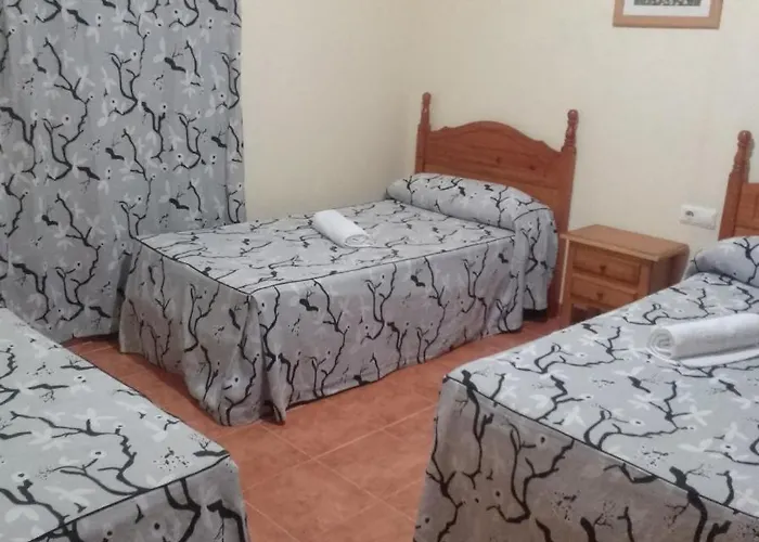 Parcelas Conil De La Frontera